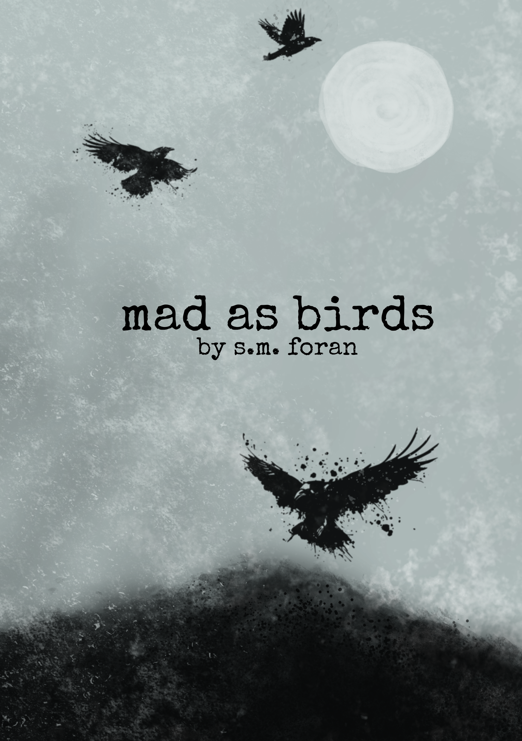 Read more about the article mad as birds by s.m. foran